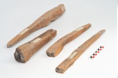 Foto von Spinnwirtel (NHMW-PRAE-026368)